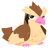 Pidgey